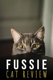 Every formula has the main protein shredded in a delicious gravy, giving your cat visible slices of meat to enjoy and a familiar, flaky texture she'll love. Fussie Cat Review Best Cat Harness Cat Harness Cool Cats