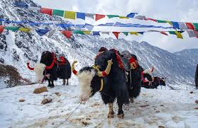Top 7 Offbeat Places to Visit in India ...