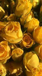 It, like many of the colors of the rainbow, can tie into multiple aesthetics. Aesthetic Wallpaper Yellow Aesthetic Wallpaper B W