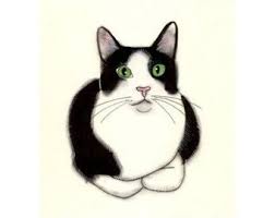 Black And White Tuxedo Cats For Sale Tuxedo Cat Art Green Eyes Black And White Cat Print Cat Art Tuxedo Cat Art Cat Eyes Drawing
