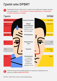 Gripp Ili Orvi Infografika Tass