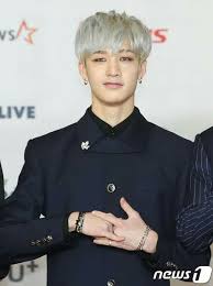 This Took So Long For Me To Find Stepout Stray Kids Chan Korean Idol Asia Artist Awards