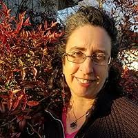 Take His Likeness: A Pride and Prejudice Variation by Lyndsay Constable