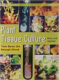 Maybe you would like to learn more about one of these? Pdf Plant Tissue Culture Basic And Applied