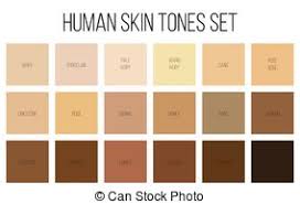 Human Skin Vector Various Body Tones Chart Realistic