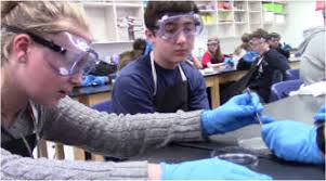 Thomas C. Cario Middle School