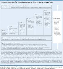 Medications For Chronic Asthma American Family Physician