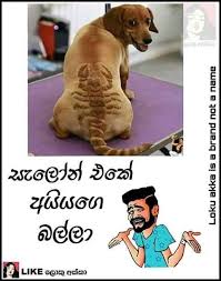 Sinhala animal joke video download. Pin By Grasela Gerreyn On Jokes Jokes Photos Funny Mems Jokes Quotes