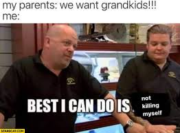 My Parents We Want Grandkids Me Best I Can Do Is Not Killing Myself Starecat Com