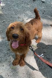 Search on our website for all the information you need Nm7cyuppr5dl1m