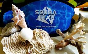 From naui and ssi to the behemoth padi, whichever one you choose generally depends on which. Scuba Utah Home Facebook