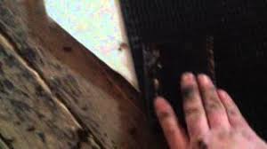 Check spelling or type a new query. How To Patch Cast Iron Drain Line Youtube