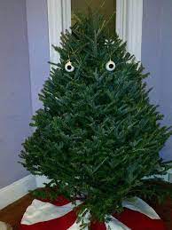 The Internet S Most Asked Questions Funny Christmas Tree Christmas Decorations Tree Christmas Tree Design