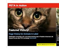 The Personality Behind PETA