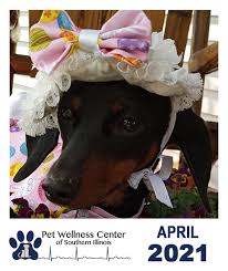 Animals, history, traveling and more. Pet Wellness Center Of Southern Illinois Home Facebook