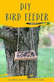 Moreover, choose a proper location that is protected from cats and other predators. How To Make A Popsicle Stick Bird Feeder Craft