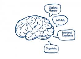 Executive Function Skills Chadd