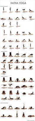 Yoga Fitness Flat Belly Different Types Of Yoga And Their Benefits Benefits Of Yoga There Are Many Alternatives Yoga Postures Easy Yoga Workouts Yoga Poses