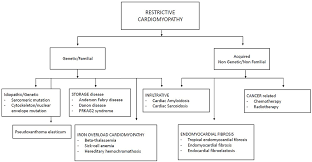 Image result for Restrictive Cardiomyopathy