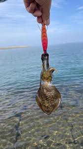 つり具のブンブン