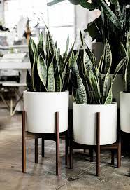 Elementi Porta Vasi Plants Stands Arredamento Piante Da Interni Piante Da Appartamento Arredare Con Le Piante Da Appartamento