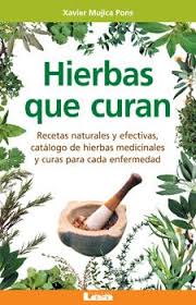 Para una utilización óptima de sus propiedades medicinales, la recolección de las hierbas debe efectuarse en el periodo en que las sustancias activas alcanzan su máxima concentración. Pin En Em