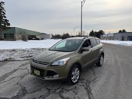 Image result for Ginger Ale 2013 Escape