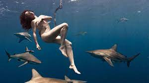 Watch: South African woman goes naked with sharks to save them