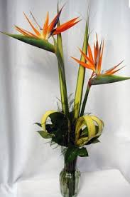 Bird Of Paradise Bouquet Care Bird Of Paradise Flowers Arreglos Florales Arreglos De Flores Diseno Floral