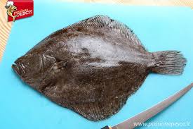Come Sfilettare Il Rombo Pesce Ricette Piatti Di Pesce