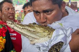 🐊 The mayor of a small southern Mexico town has married a female reptile  in a traditional rite to bring good fortune to his people. Victor Hugo  Sosa, mayor of San Pedro