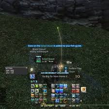 However, it never misses a collectable fish that meets the minimum and that's the important. Kiku Ichimonji Blogeintrag Kiku S Fishing Guide Part 1 Final Fantasy Xiv Der Lodestone