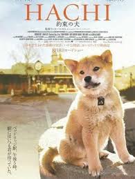 Pin On Favourite Asian Movies