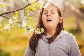 Beating The Sneeze Combating Hay Fever That Sugar Movement