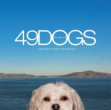 Read reviews and buy the best coffee table books from top authors, including rebecca atwood, grace bonney, christiane lemieux and more. 49 Dogs And One Cat Hilarious Hound