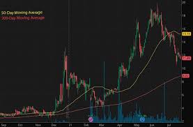 Will robinhood be the next meme stock after its $32 billion ipo? 0c7ggssstvmuom