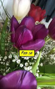 Choose from our wide range of cabinets, faucets, sinks and. Boynton Beach Florist 640 E Ocean Ave 3 Boynton Beach Fl Florists Mapquest