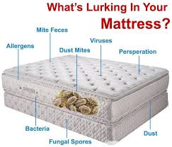 Do You Know What S Lurking In Your Mattress Cloud9mattress Norwex Mattress Cleaner Mattress Cleaning Mattress Cleaner