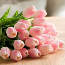 Revia maya 22 january, 2020 gambar 1.6k view. Tropical Tulip Flower Bunch Flower Arrangement Buy Tropical Flower Arrangement Tulip Flower Bunch Product On Alibaba Com