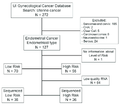 Flow Chart Of Patients Included In The University Of Iowa