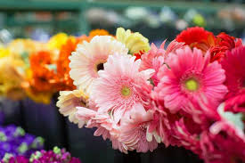 Find a flower shop in phoenix, az to create custom floral arrangements for weddings, funerals, showers, proms, birthdays living in phoenix, az. The 5 Best Florists In Phoenix