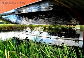 Mary's flower shop will deliver flowers right to your door. X5284 L I T E Lafayette La Mary Beth Linahan Flickr