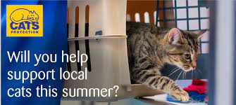 Cats Protection Ealing And West London Branch Home Facebook