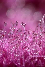 Orchid flower will appeal to both men and women, wgsn shared, and especially driven by the young consumer. 130 Color Orchid Ideas Radiant Orchid Color Shades Of Purple