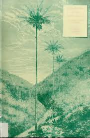 Image result for Trichostachys microcarpa