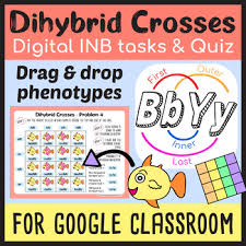Two trait are used in the genetic cross. Dihybrid Crosses Digital Inb And Quiz Google Slides Forms By Emmatheteachie