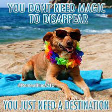 Beach Vacation Humor Funny Lmao Lol Vacation Humor Funny Images Life Humor