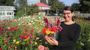 We did not find results for: Growing Cut Flowers Youtube