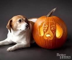 Image result for Pumpkin Carving