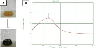 Image result for Ixora brachypoda